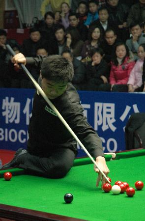 不仅吸引了 不仅吸引了