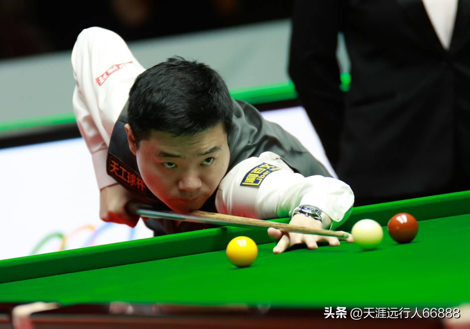 公正透明的 公正透明的